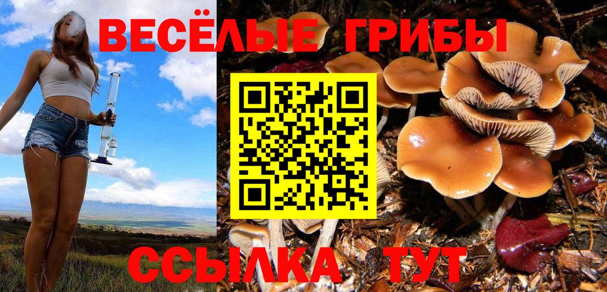 Псилоцибиновые грибы Cubensis  Вход с VPN  Гуково 