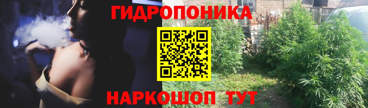 Шишки марихуана гибрид Гуково